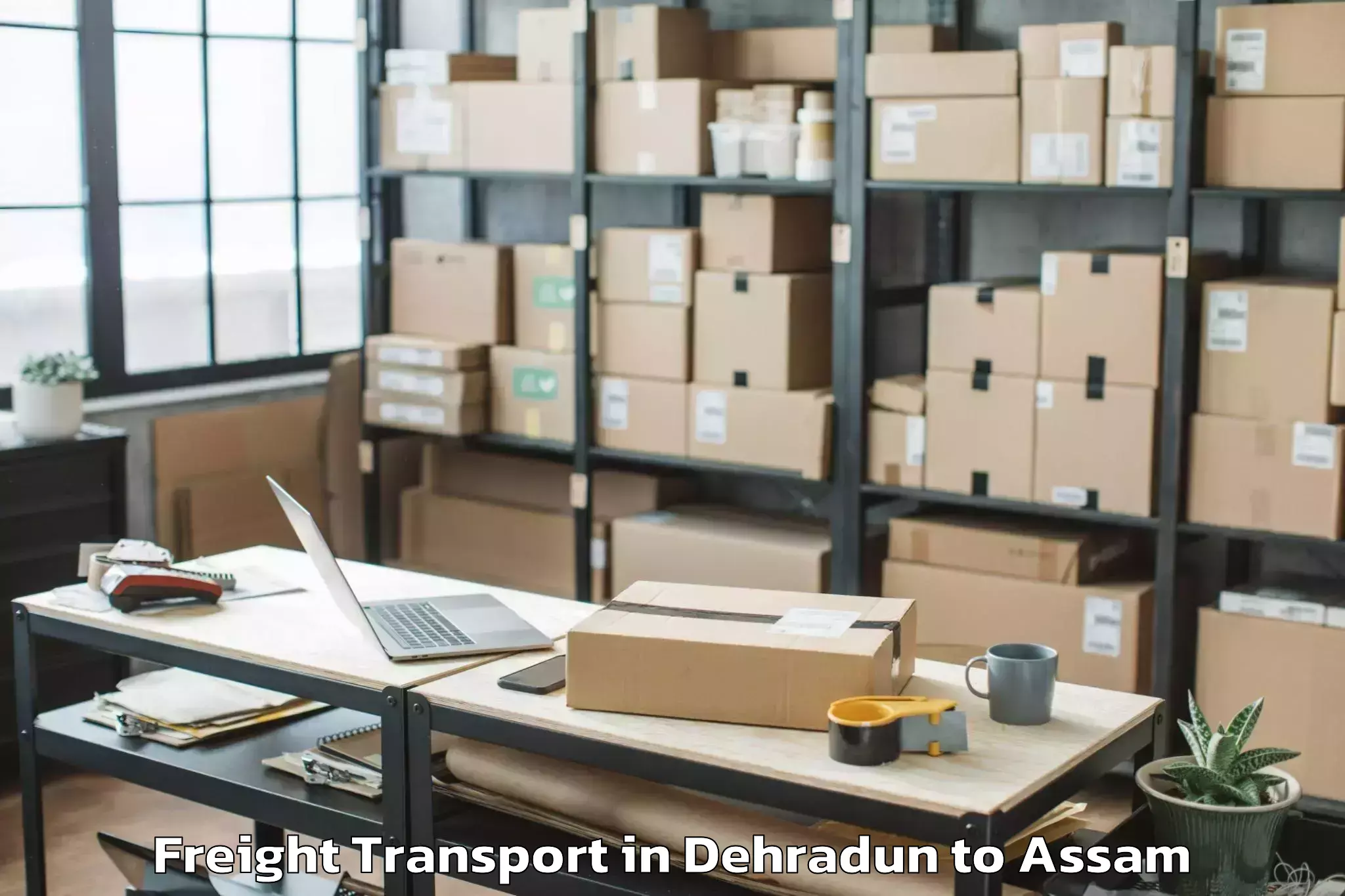 Discover Dehradun to Bokajan Freight Transport